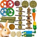 Los Mejores Juguetes para Cobayas: Análisis y Comparativa de Productos Imperdibles para el Bienestar de tu Mascota