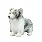 Todo lo que Necesitas Saber sobre los Cachorros de Border Collie Red Merle: Guía de Productos Esenciales para su Cuidado y Bienestar