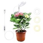 Las Mejores Luces para Terrarios de Plantas: Análisis y Comparativa de Productos Esenciales para Tu Mascota