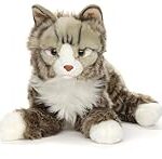 Análisis del Gato Bosque de Noruega: Precios, Características y Comparativa con Otras Razas