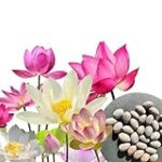 Las Mejores Plantas Naturales para Estanques: Comparativa y Análisis para Crear un Ecosistema Saludable para tus Mascotas