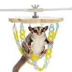 Guía Completa de Cuidados para Petauros del Azúcar: Comparativa de los Mejores Productos para su Bienestar