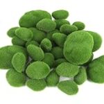 Las Mejores Piedras de Musgo para Acuarios: Análisis y Comparativa de Productos Esenciales para tus Mascotas Acuáticas