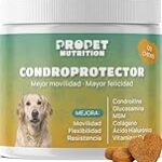 Artrosis en Perros: Análisis y Comparativa de los Mejores Medicamentos para Aliviar el Dolor