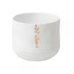 Los Mejores Productos para Mascotas en Ciudad Jardín 1, San Vicente del Raspeig: Análisis y Comparativa