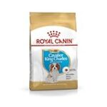 Los Mejores Productos para tu Cachorro Cavalier King Charles Spaniel: Análisis y Comparativa Esencial