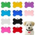 Las Mejores Chapas para Perros Grabadas: Comparativa de Estilo, Seguridad y Funcionalidad