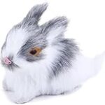 Todo lo que Debes Saber sobre el Precio del Conejo Mini Lop: Análisis y Comparativa de los Mejores Productos para su Cuidado