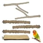 Los Mejores Nombres para Agapornis: ¡Dale a Tu Mascota el Nombre Perfecto Mientras Descubres los Productos Esenciales!