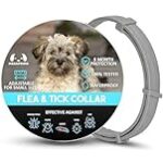 Scalibor para Perros Pequeños: Análisis y Comparativa de los Mejores Productos Antipulgas