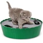 Descubre los Mejores Productos Hunter Cat: Análisis y Comparativa para Consentir a tu Gato