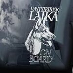 Guía Definitiva: Los Mejores Productos para Cuidar a tu Perro Laika de Siberia Occidental