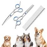 Las Mejores Peluquerías Caninas en Oviedo: Análisis y Comparativa de Servicios para el Cuidado de tu Mascota