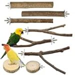 Las Mejores Perchas para Pájaros: Análisis y Comparativa de Productos para el Hogar de Tu Mascota