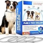 Collar Antiparasitario Scalibor: Análisis y Comparativa con los Mejores Productos para Proteger a tu Mascota
