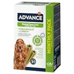 Descubre Denia Con Tu Perro: Los Mejores Productos y Accesorios para Disfrutar Juntos