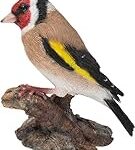 Guía Completa: Dónde Comprar Jilgueros y Comparativa de los Mejores Productos para su Cuidado