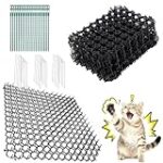 Cómo Elegir el Mejor Producto para Aliviar una Uña de Gato Clavada en la Almohadilla: Análisis y Comparativa