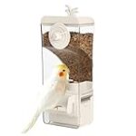 Los Mejores Comederos para Ninfas: Análisis y Comparativa de Productos para el Bienestar de Tu Ave