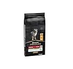 Análisis Completo de Pro Plan Purina Medium Puppy: ¿Es la Mejor Opción para tu Cachorro?