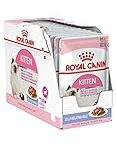 Royal Canin Kitten: Análisis y Comparativa de la Mejor Alimentación para Gatos Jóvenes