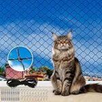 Los Mejores Accesorios para Gatos en Terrazas Abiertas: Análisis y Comparativa de Productos Imperdibles