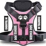 Los Mejores Arnéses para Perros Personalizados: Análisis y Comparativa de Opciónes para Tu Mascota