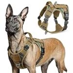 Análisis de los Mejores Arneses para Perros Militares: Comparativa y Recomendaciones